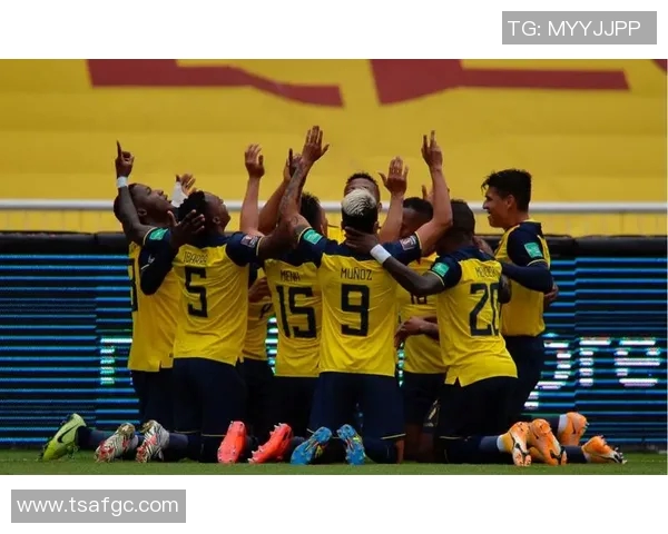 厄瓜多尔与哥伦比亚世预赛激战回顾分析及未来展望