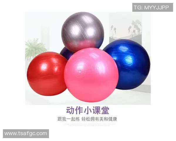 全面解析各类体育器材价格及选购指南助你轻松打造运动装备清单